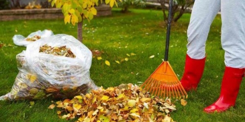 Kako napraviti kompost od lišća drveća u vrećama